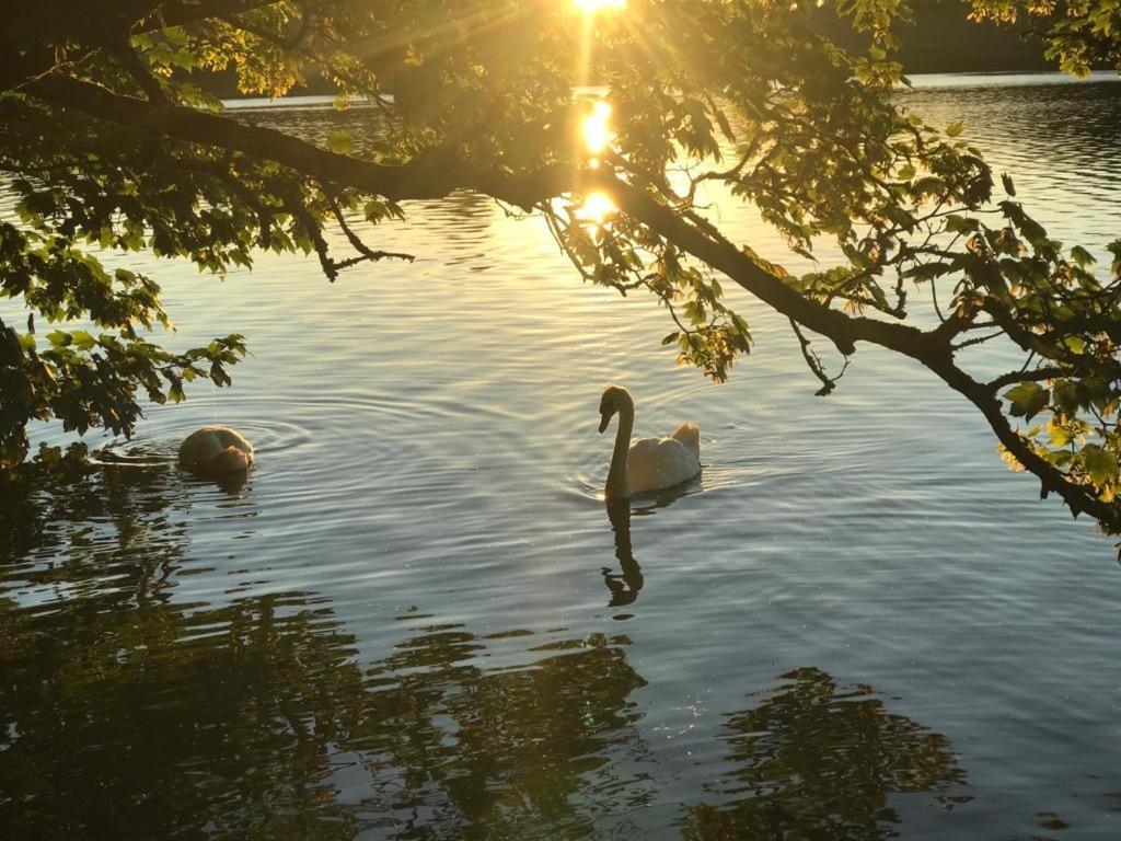 Lakeside Lookout Bantry Cork Luaran gambar