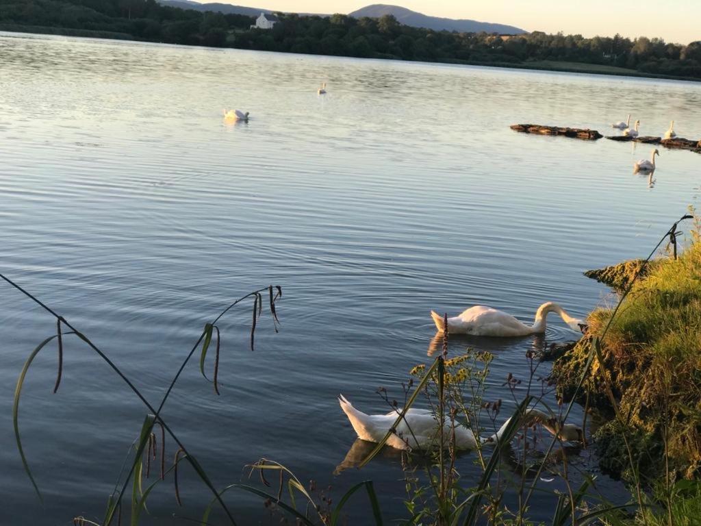 Lakeside Lookout Bantry Cork Luaran gambar